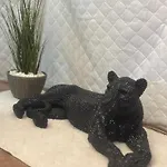 365 * ブラショフ