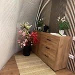 365 キャンプ場