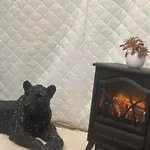キャンプ場 365