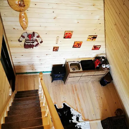 365 Braşov
