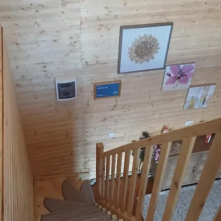 Кемпінг 365