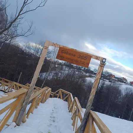 365 Brasov