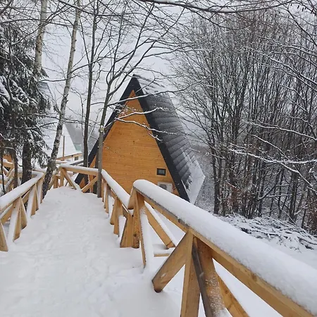 Campsite 365 Brasov