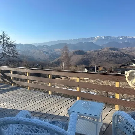 365 营地 *